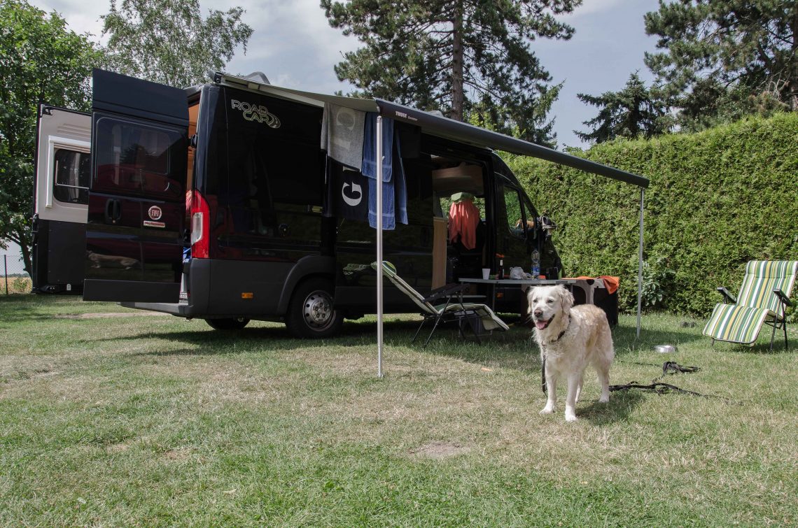 Hund vorm Wohnmobil, Campingleben, Camping leben, Camping erleben, Vanlife